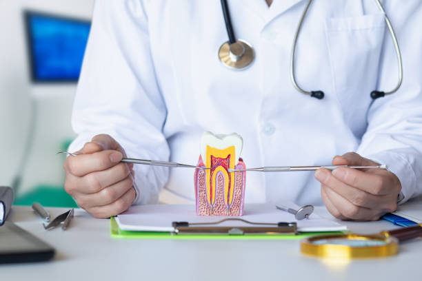 Best Emergency Wisdom Teeth Removal in Narrows, VA